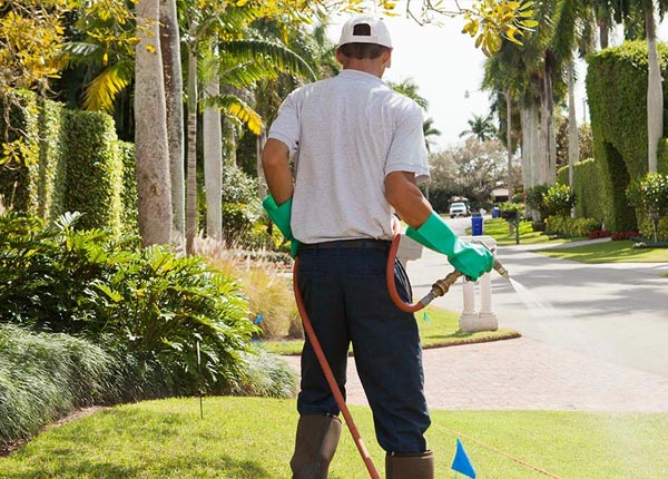 About Ludlow MO Pest Control